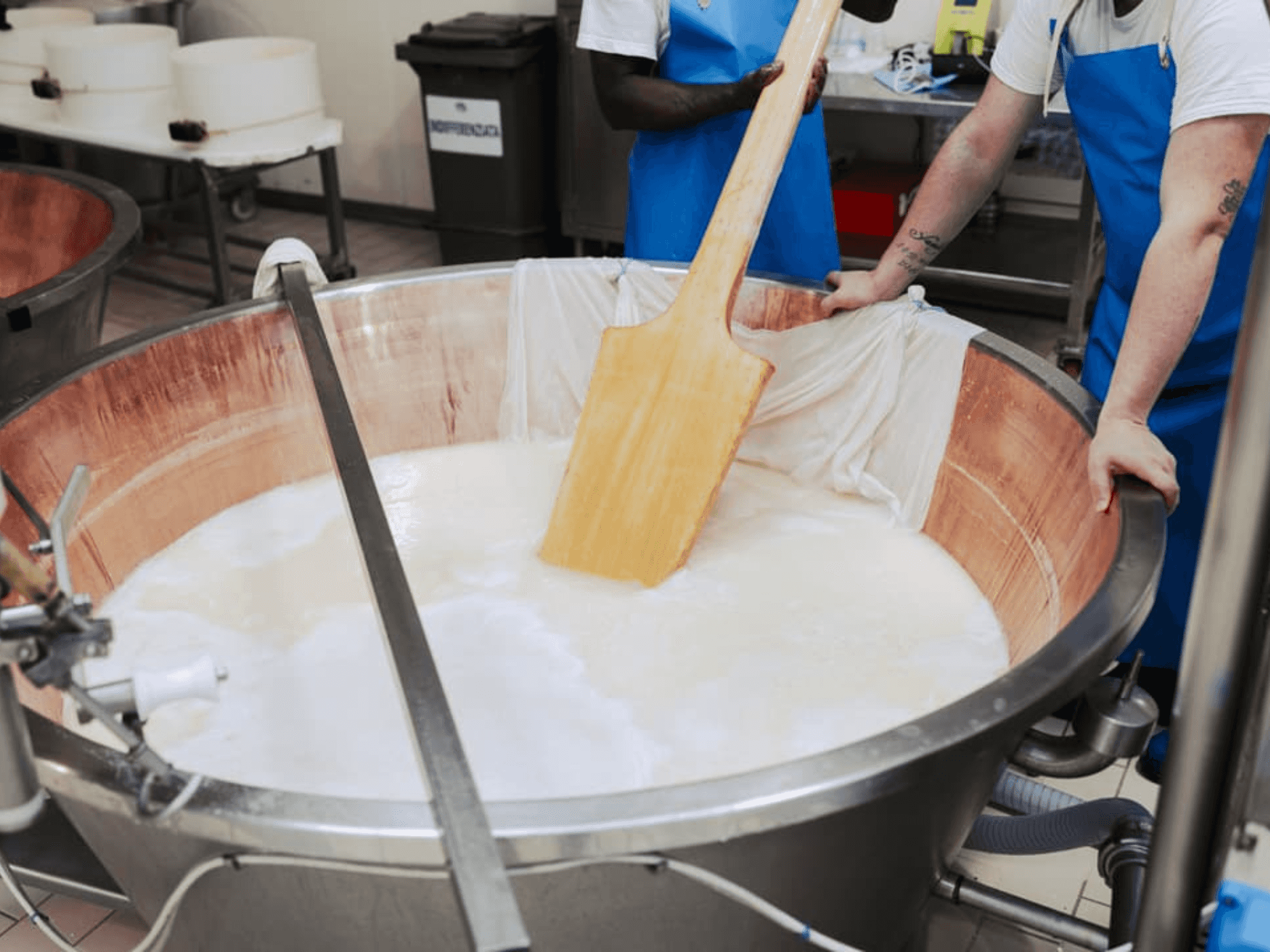 Parmesan Cheese Factory Tour & Tasting near Parma