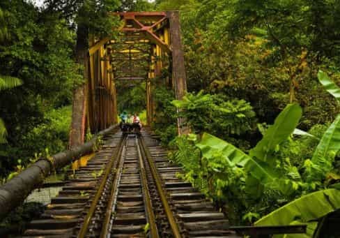 Tour San Cipriano: Naturaleza y Diversión Extrema en el Valle del Cauca