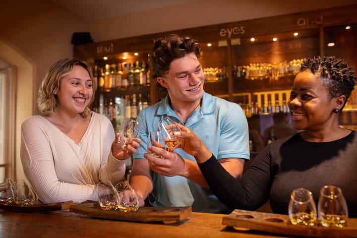 Dublin Irish Whiskey Museum and Gallery Guided Tour with Tasting 
