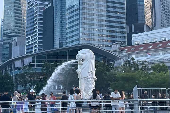 Morning Singapore City Tour w Gardens By The Bay Tickets