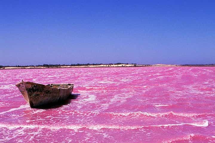Lac Rose and Noflaye Tortoise Park