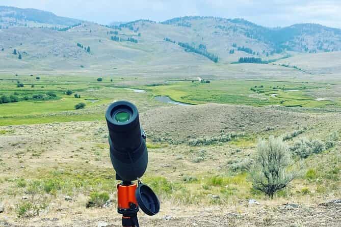 Yellowstone Lower Loop Geothermal Full-Day Private Guided Tour