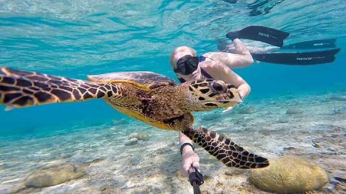 Gili Trawangan Half Day Cruise with Lunch