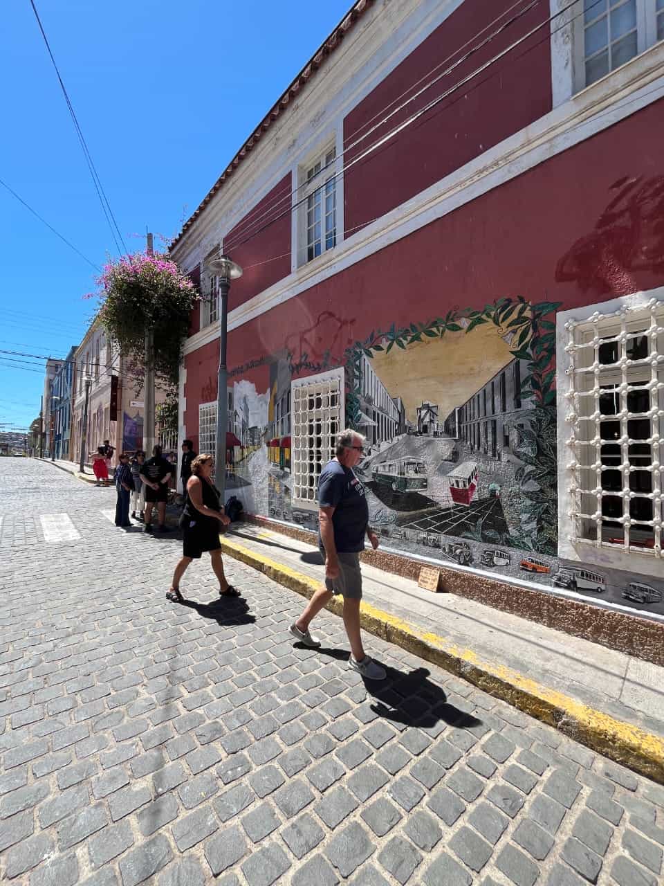 Valparaiso Private Tour with Wine Tasting from Santiago