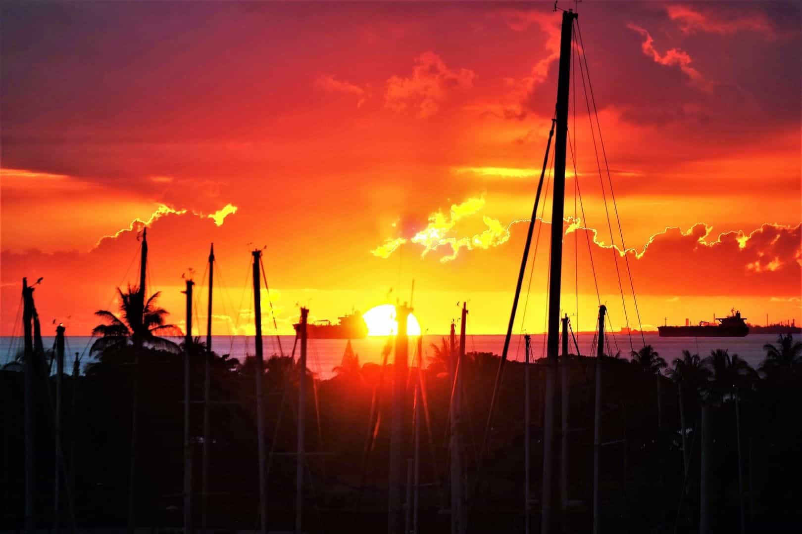 Walking Audio Tour Around Heavenly Honolulu: Explore Historical and Cultural Treasures of the City