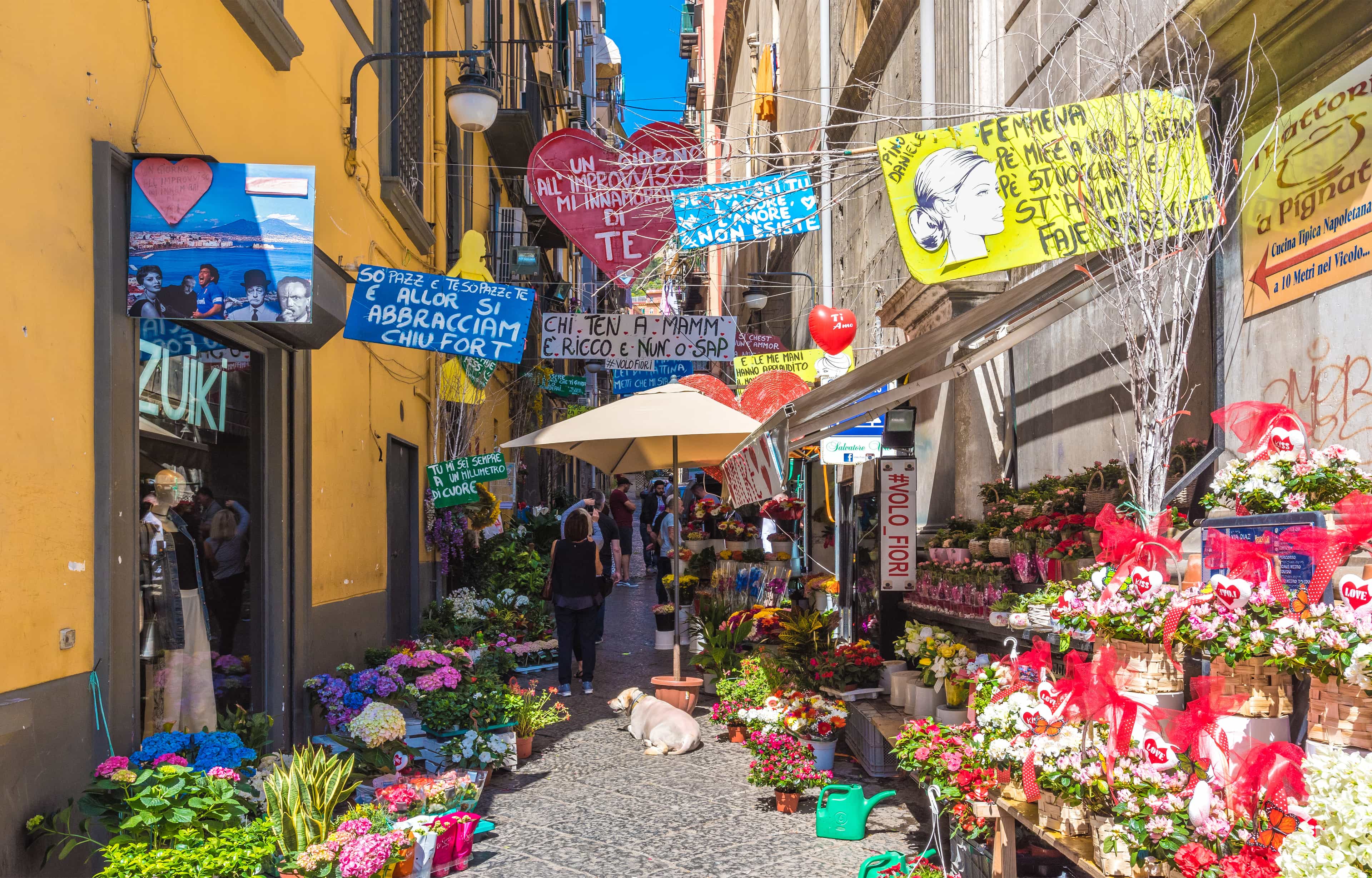 [TOUR GUIDE PRIVATE] NAPLES Street Food 