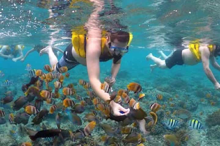 Gili island Snorkeling Half Day Trip departure from Gili Trawangan