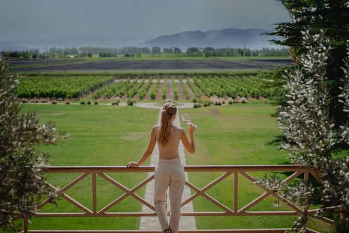 Visit Caelum and Norton Tour with Lunch