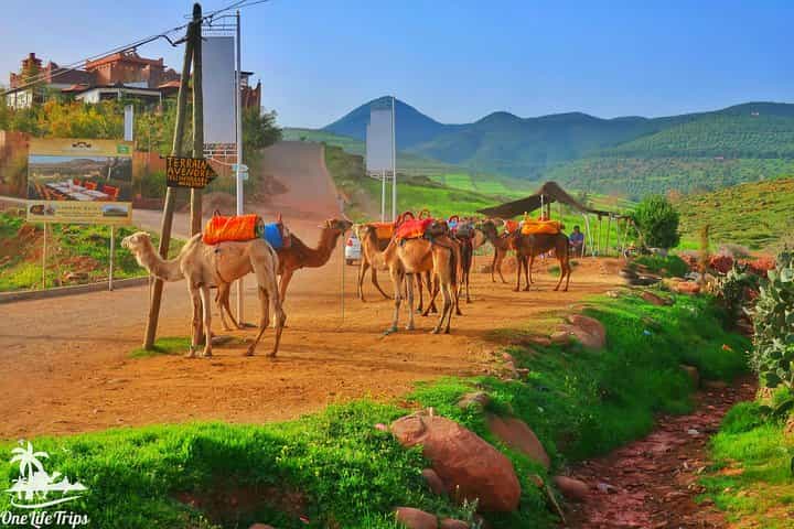 Private Atlas Mountains Day Trip