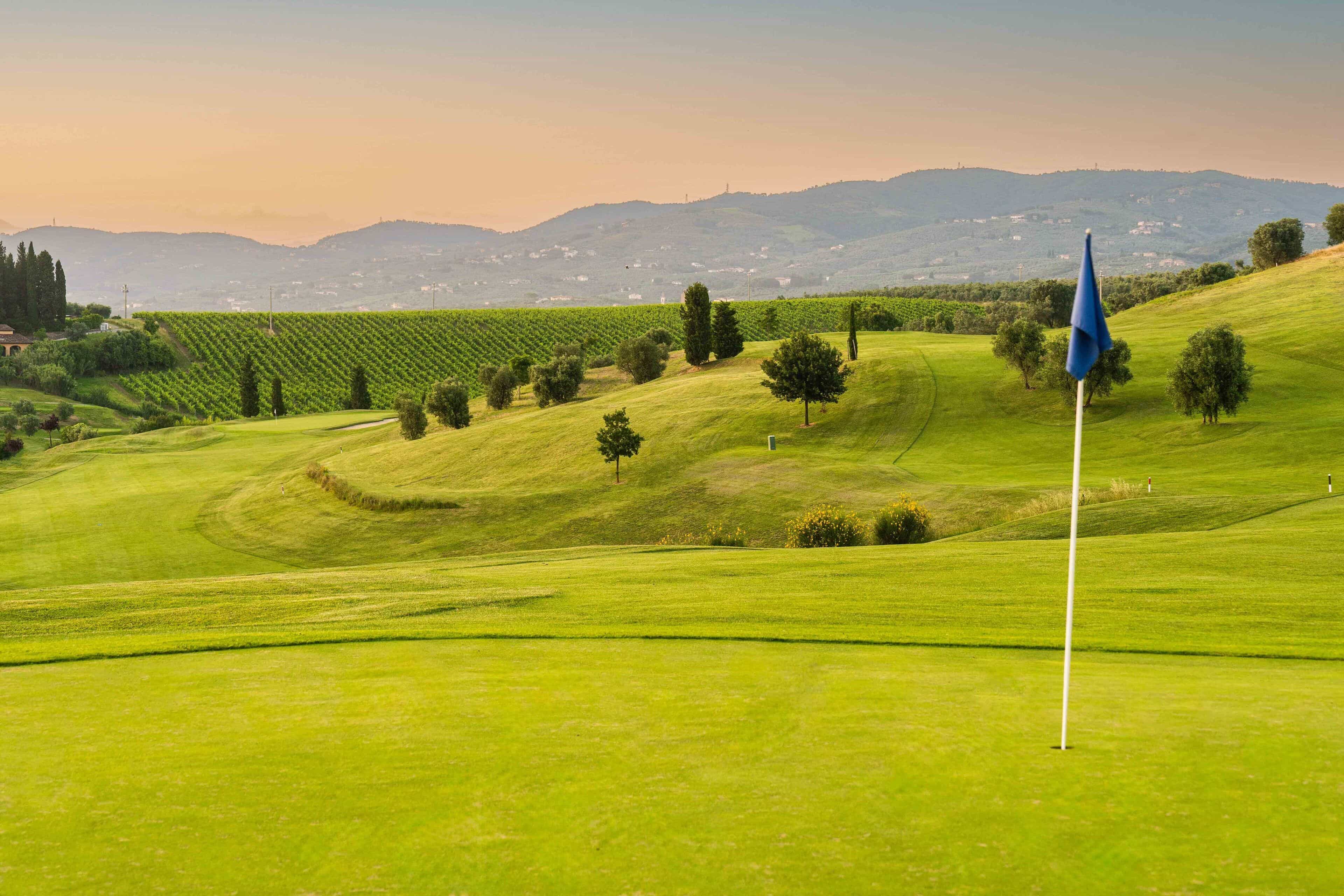 Fairways of Elegance: A Premier Golfing Expedition