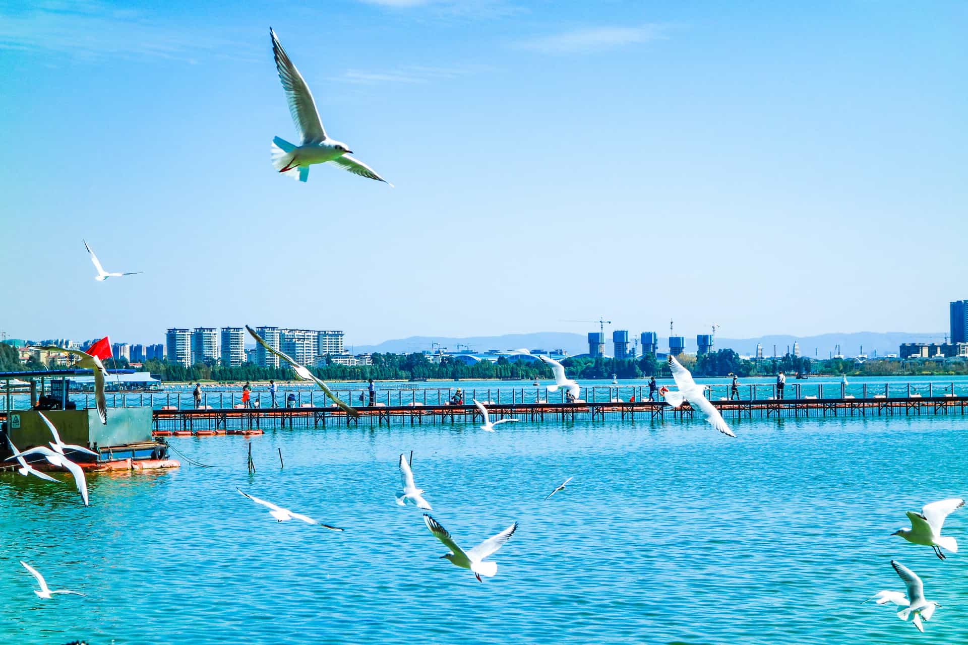 Flexible Kunming Highlights Day Tour Charter