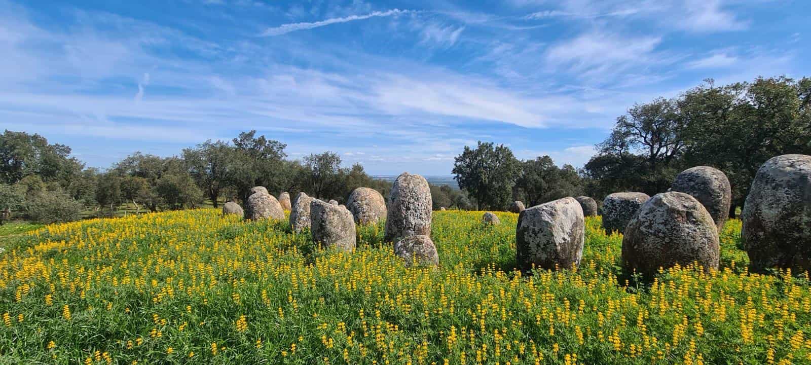 Évora or Montemor-o-Novo : Guided Hike to Almendres Chromelech
