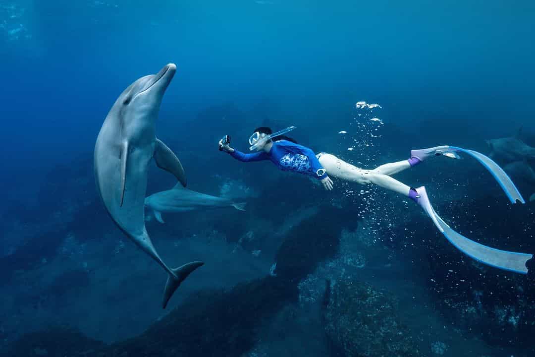Discover Mahmya Island-A Tropical Paradise in Hurghada