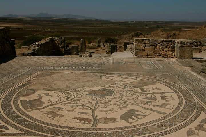 Private Tour from Fez: Meknès and Roman Ruins of Volubilis