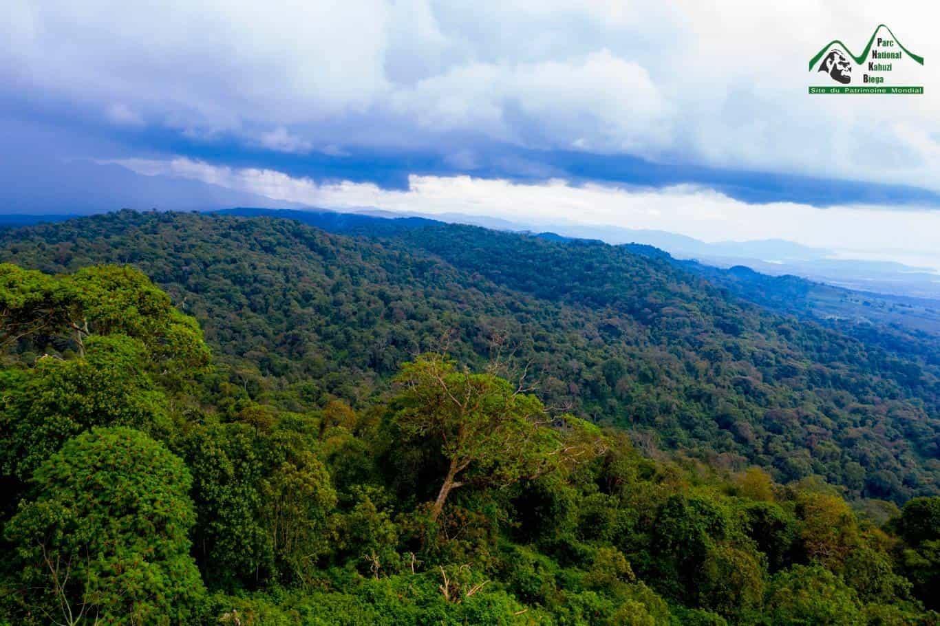 Grauer’s Gorilla Kingdom Safari – Kahuzi-Biega UNESCO Rainforest Expedition