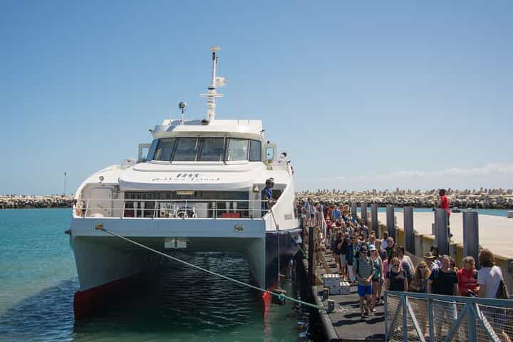 Full-Day Private Robben Island, Penguins & Cape of Good Hope Tour