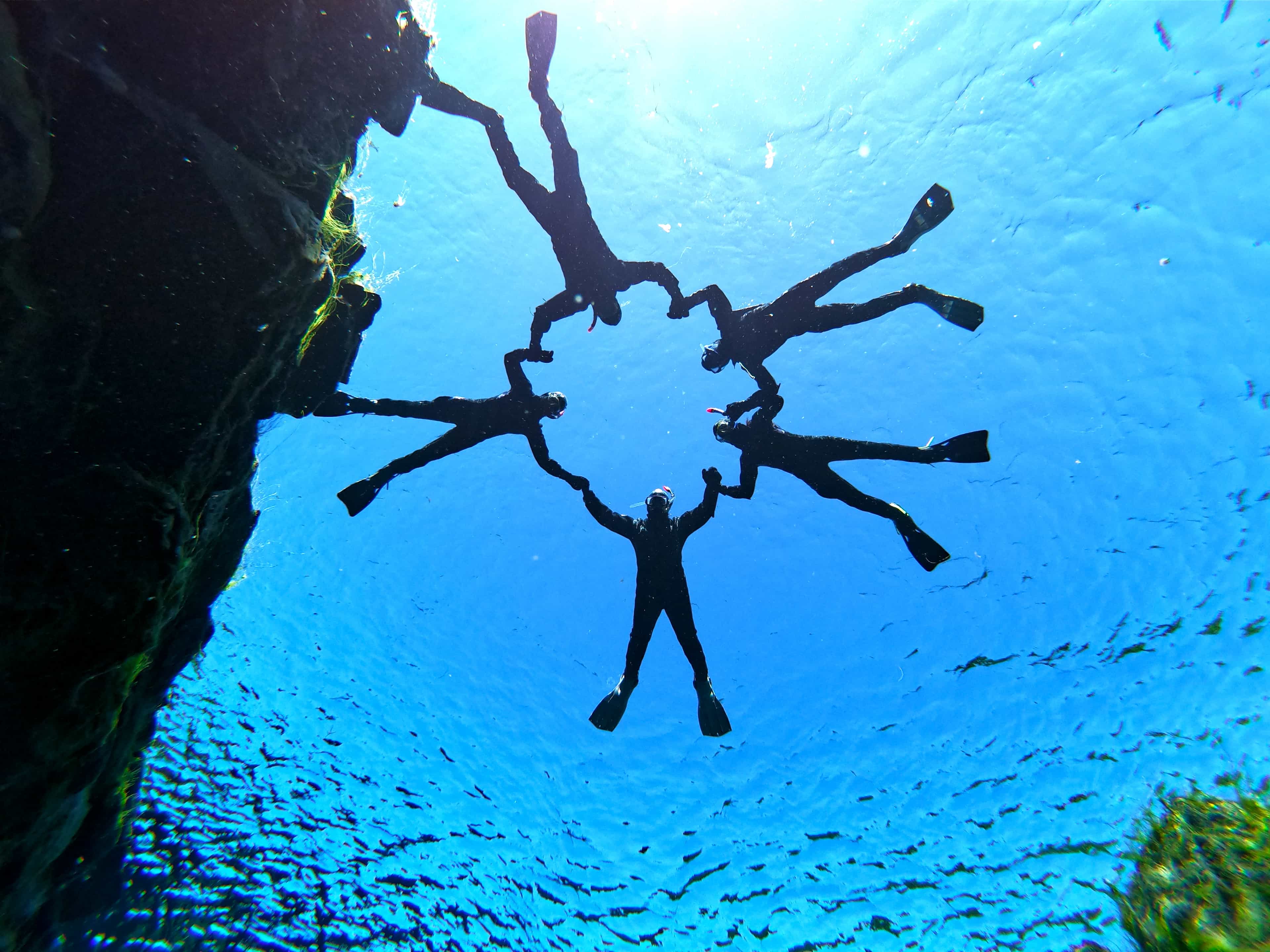Drysuit Snorkeling in Silfra - with underwater photos / From Reykjavik