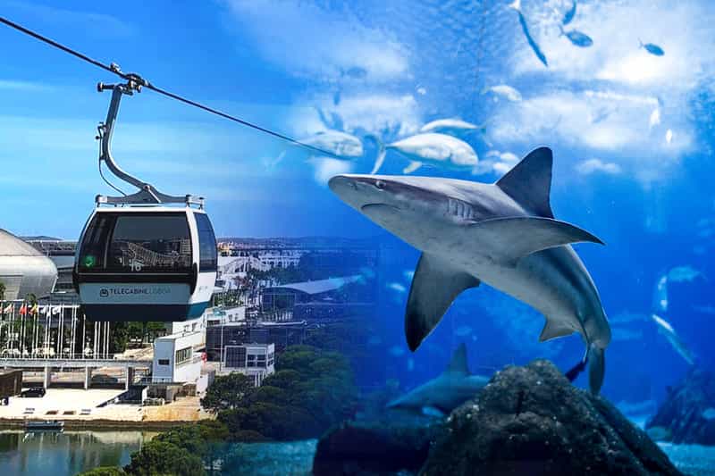 Lisbon in a Day: Family Edition