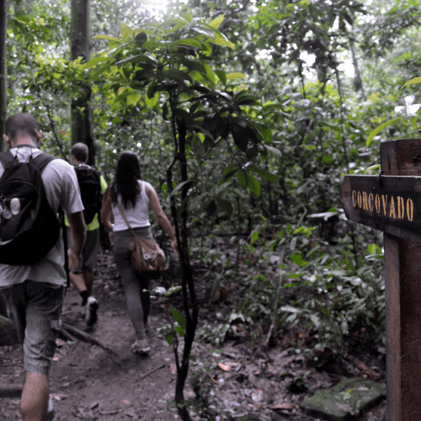 Christ the Redeemer Hike from Lage Park Private tour