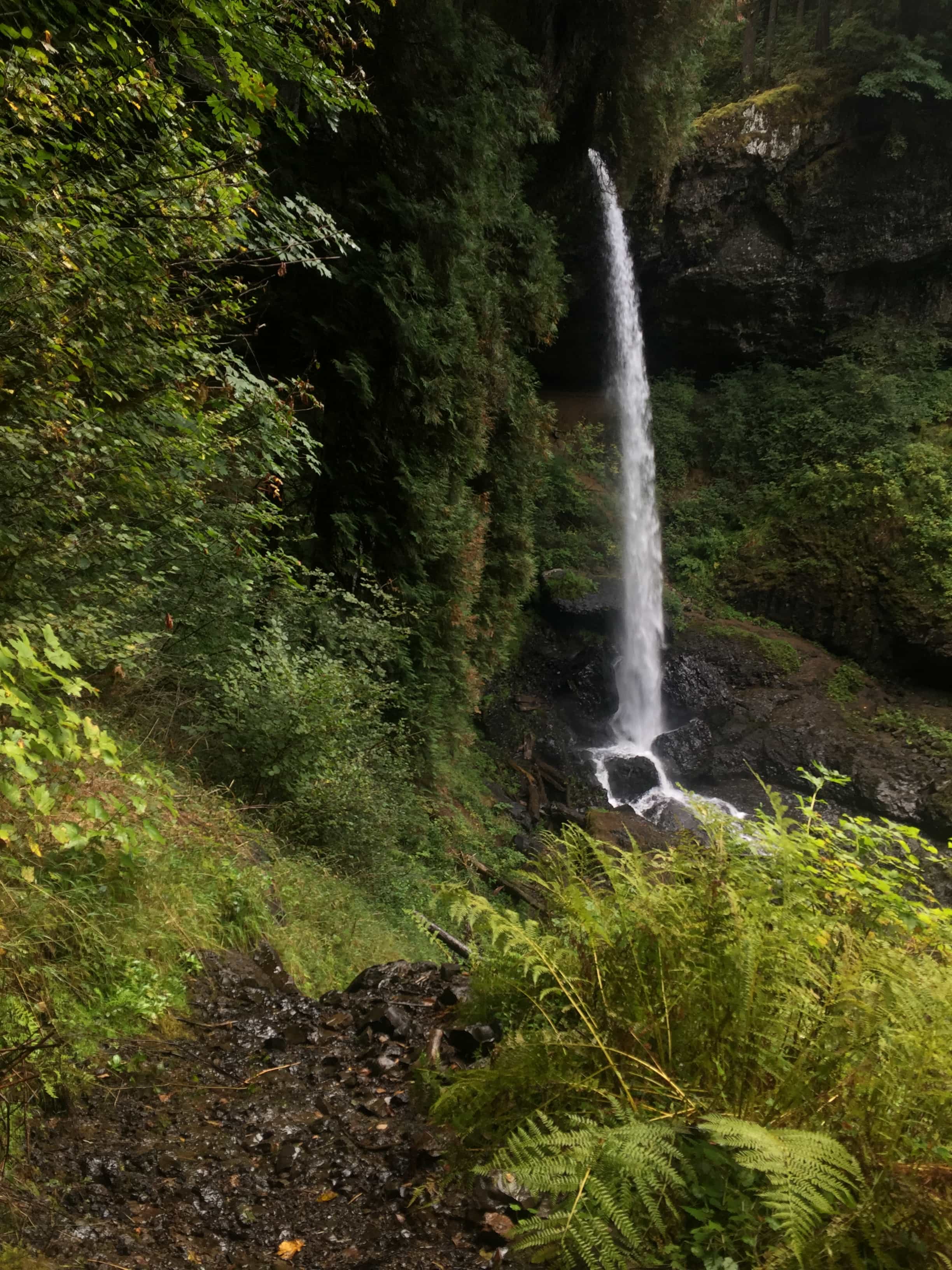 Crater Lake 3-Day Tour from Portland