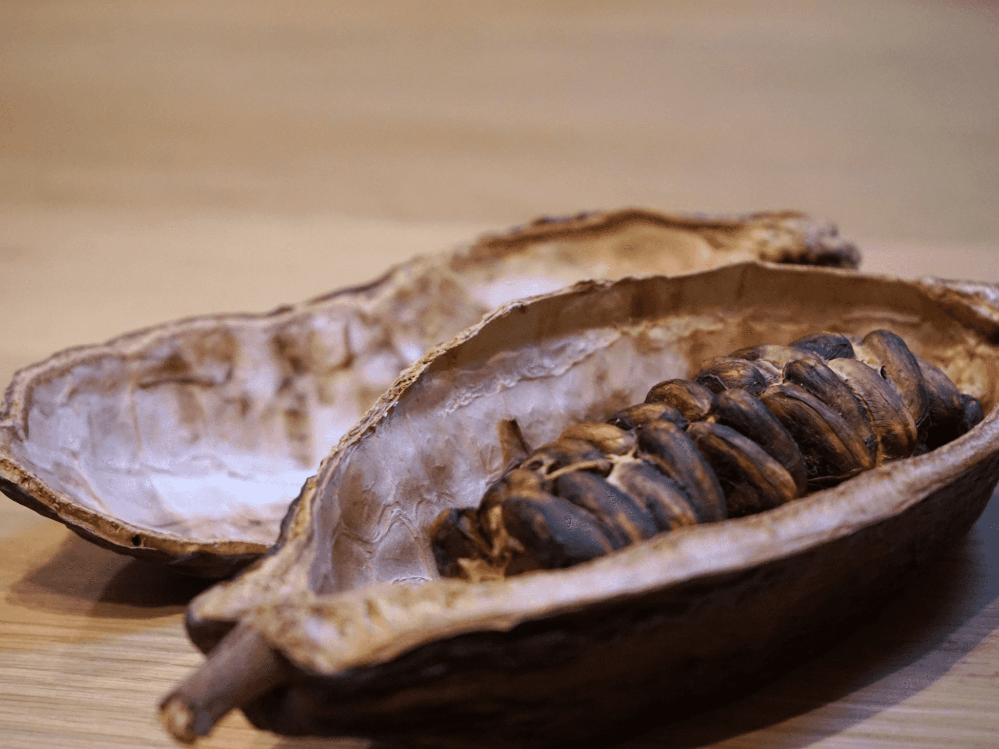 Fine Chocolate Tasting in Turin