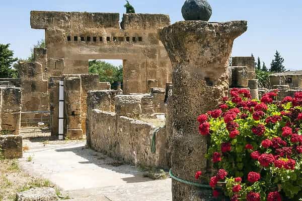 From Tunis: Archaeological site of Utique - Bizerte - Ras Angela 