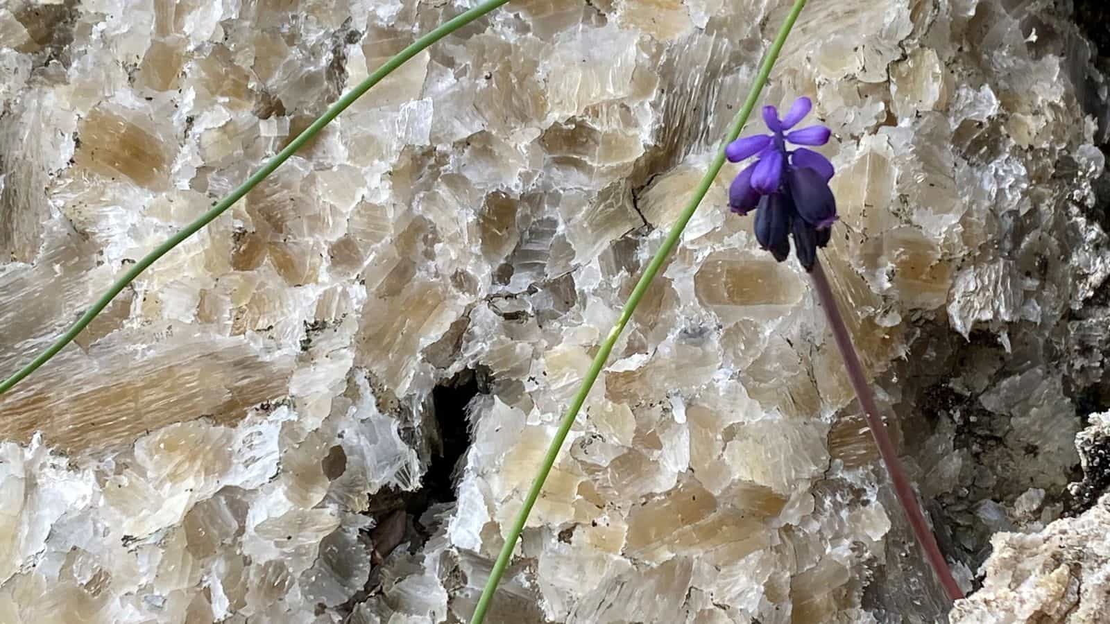 Crystal Earth Trek: Exploring the Gypsum Villages & Hidden Caves of Abruzzo
