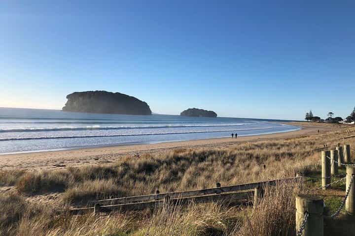 Private The Coromandel Tour - Auckland Tour House 