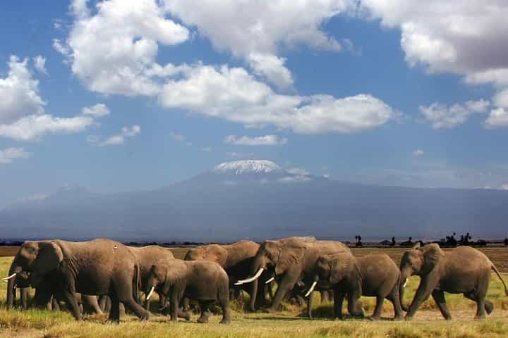 2-Day Amboseli Safari