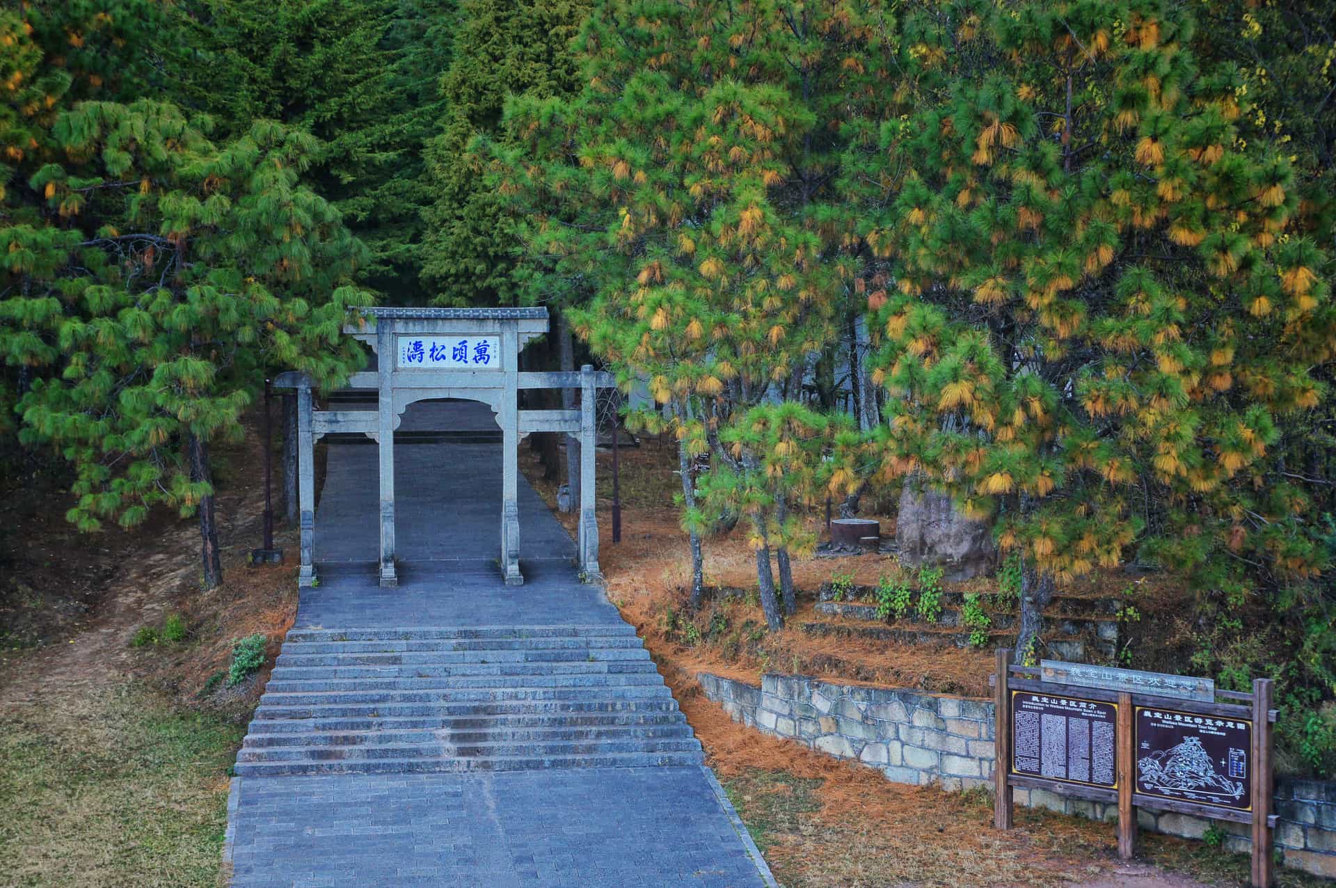 Discover Jianchuan Ancient Town: Wood Carving Workshop&Cuisine