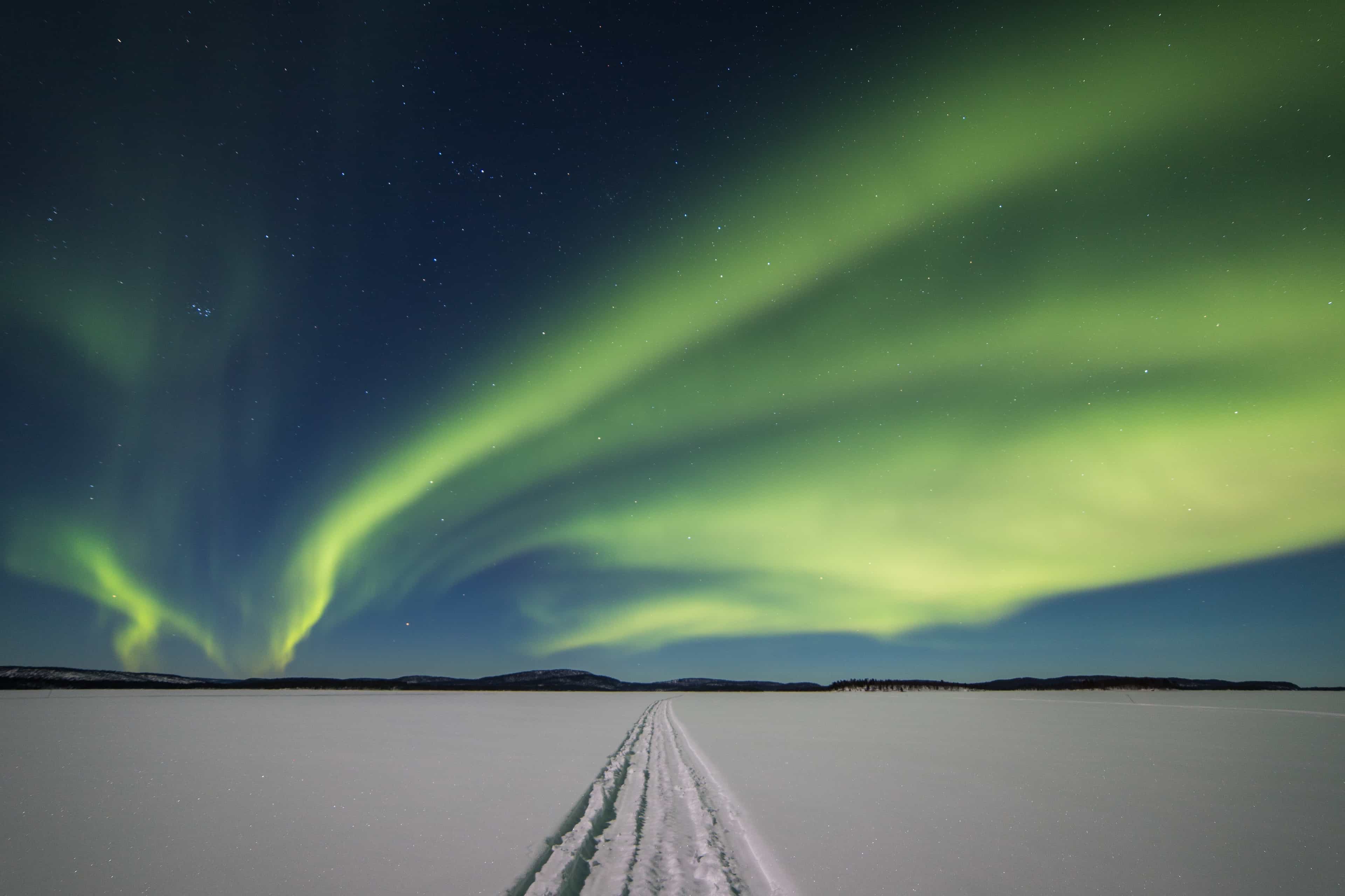 From Saariselkä: Northern Lights Tour to Lake Inari with Dinner, meet & feed reindeers