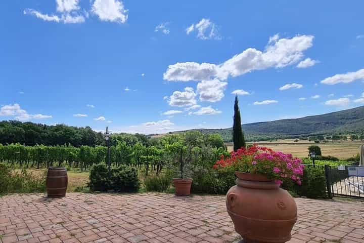 Chianti Afternoon Tour with Dinner at the Sunset