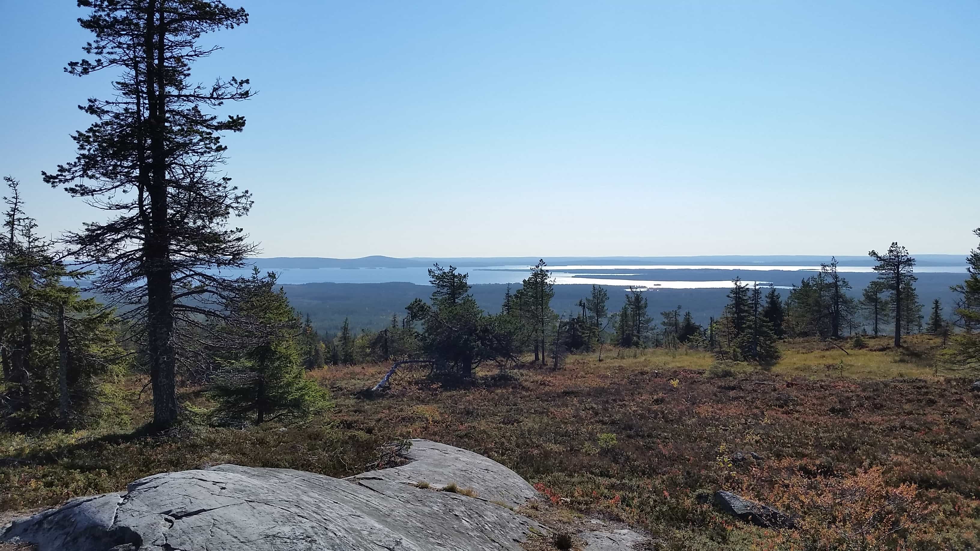 Hiking in Riisitunturi National Park - Guided Private Tour