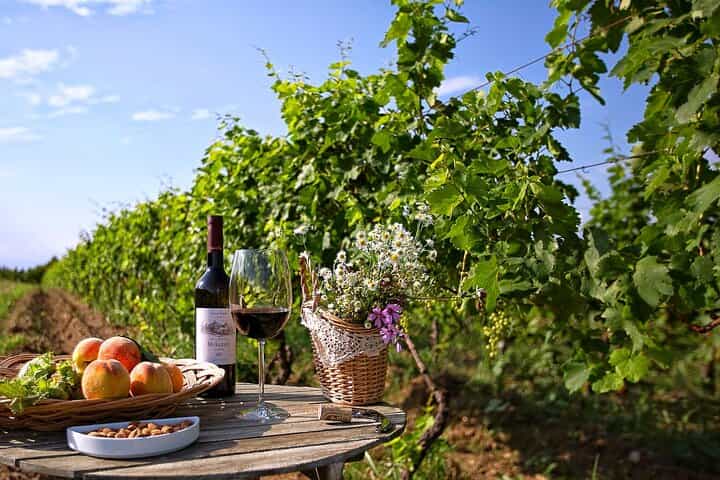 Private Full-Day Vintage Grape Harvest Festival with Lunch