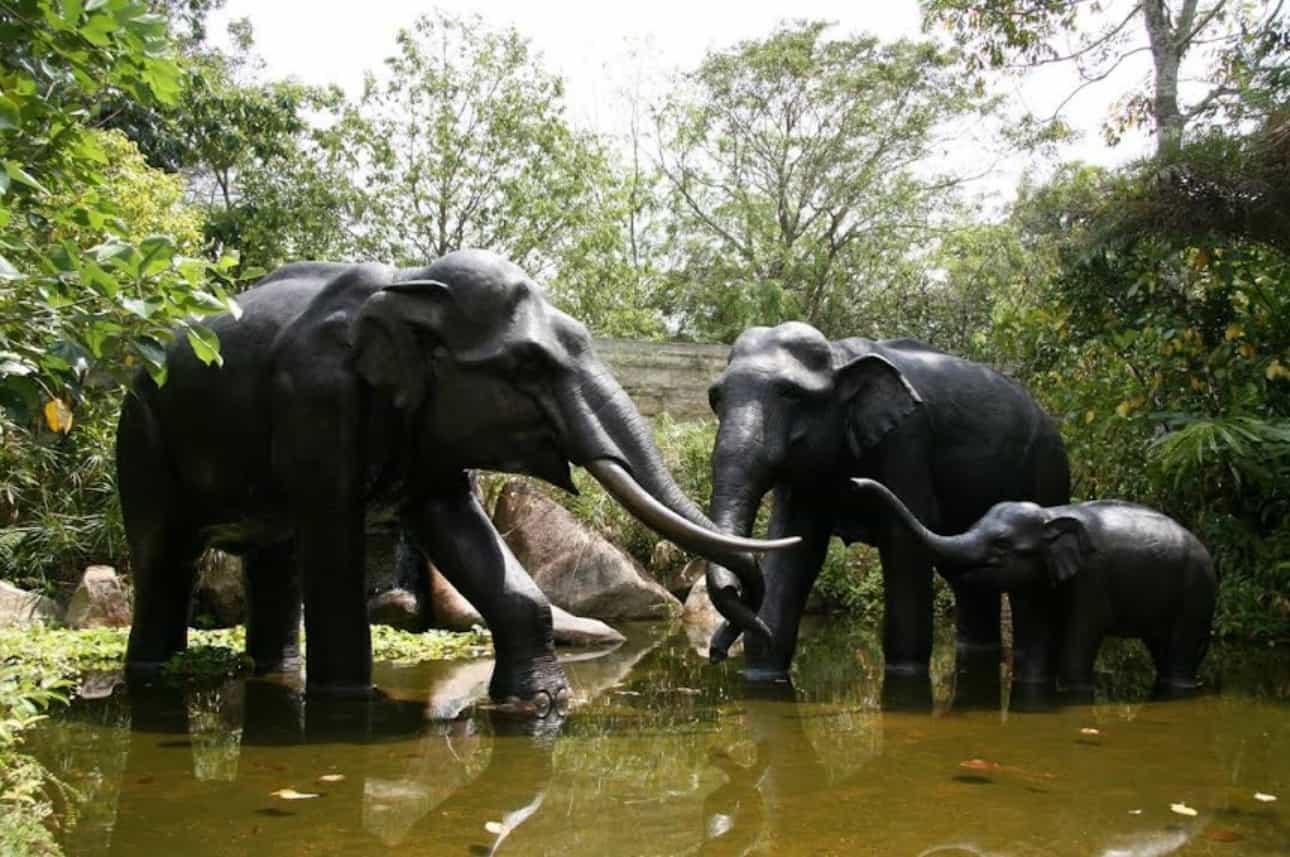 Singapore River Wonders and Night Safari + Roundtrip Transfers