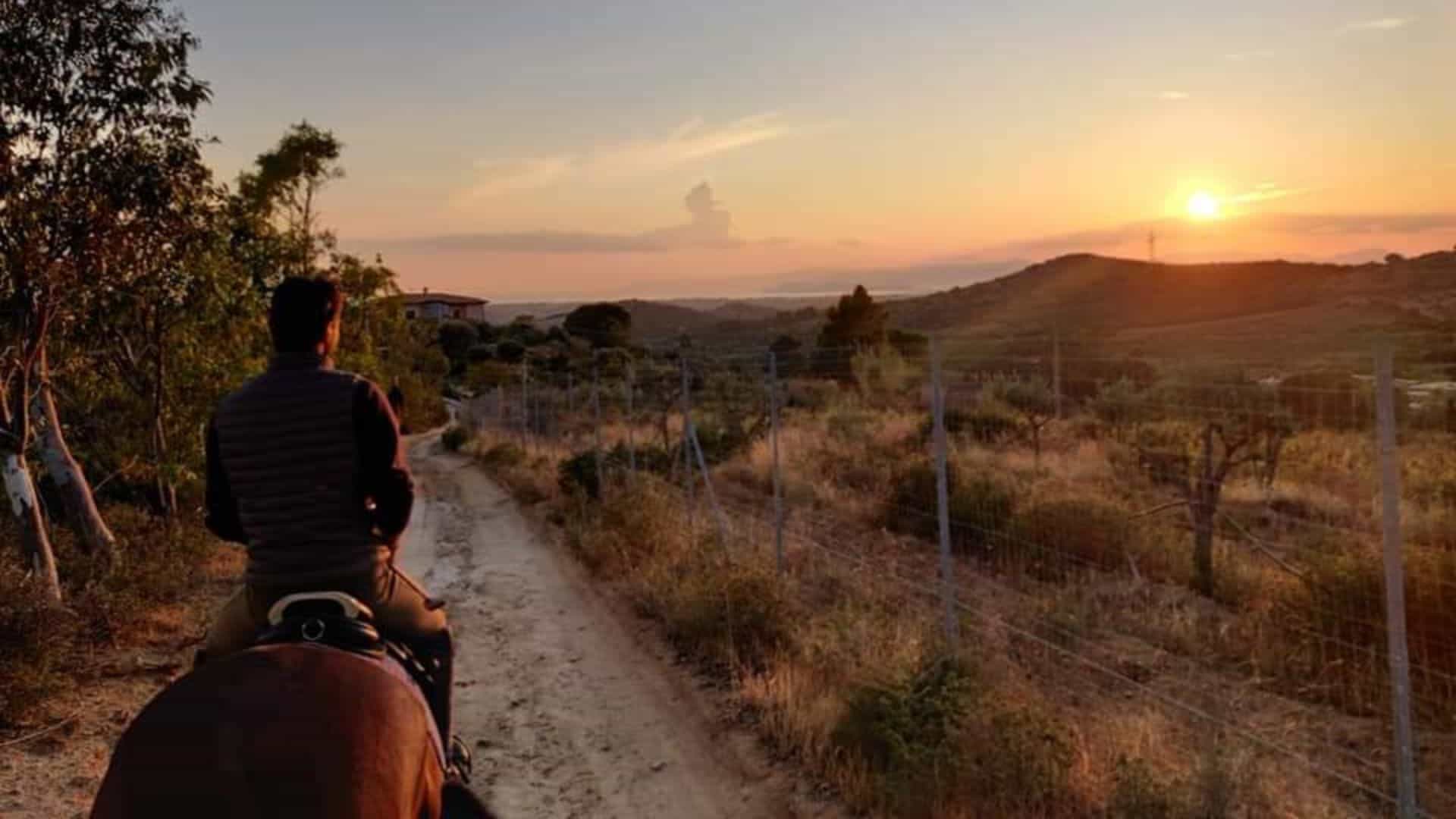 Cagliari: panoramic horseback riding