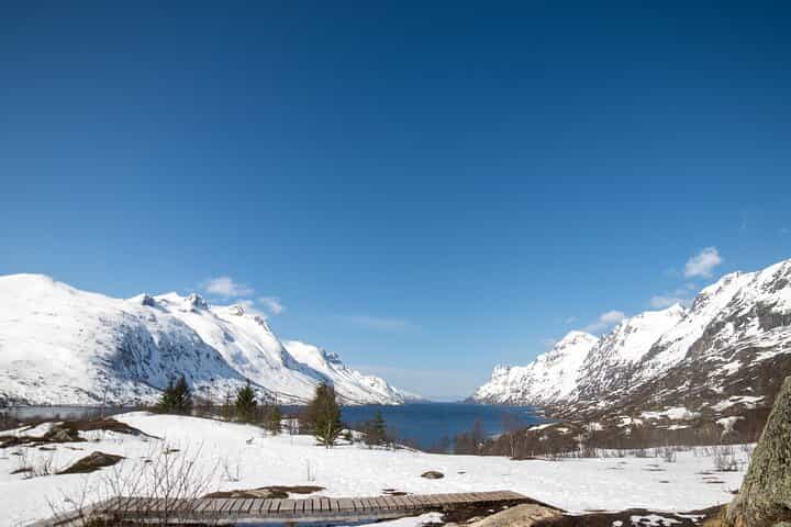 Tromsø: Fjord Adventure Tour with Wildlife and Lunch