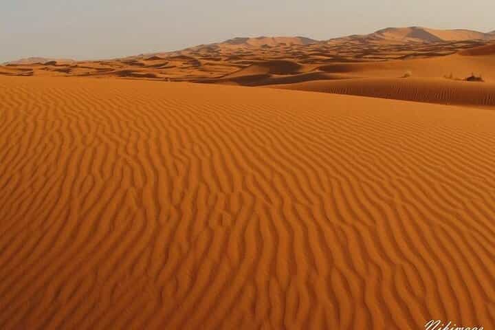 Rally over Merzouga dunes with a visit to the Oasis 