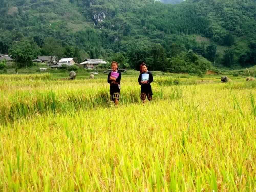 Sapa & Halong Bay Tour – 4 Days/3Nights Package