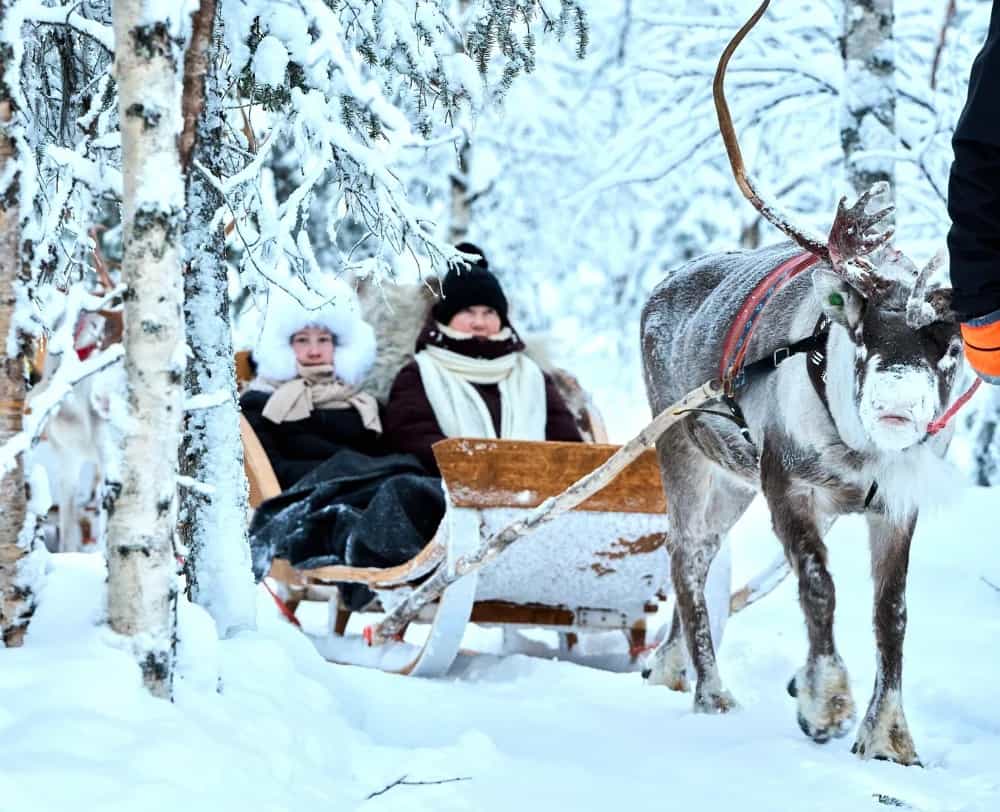 Reindeer farm and reindeer safari express 0,6 km, Levi