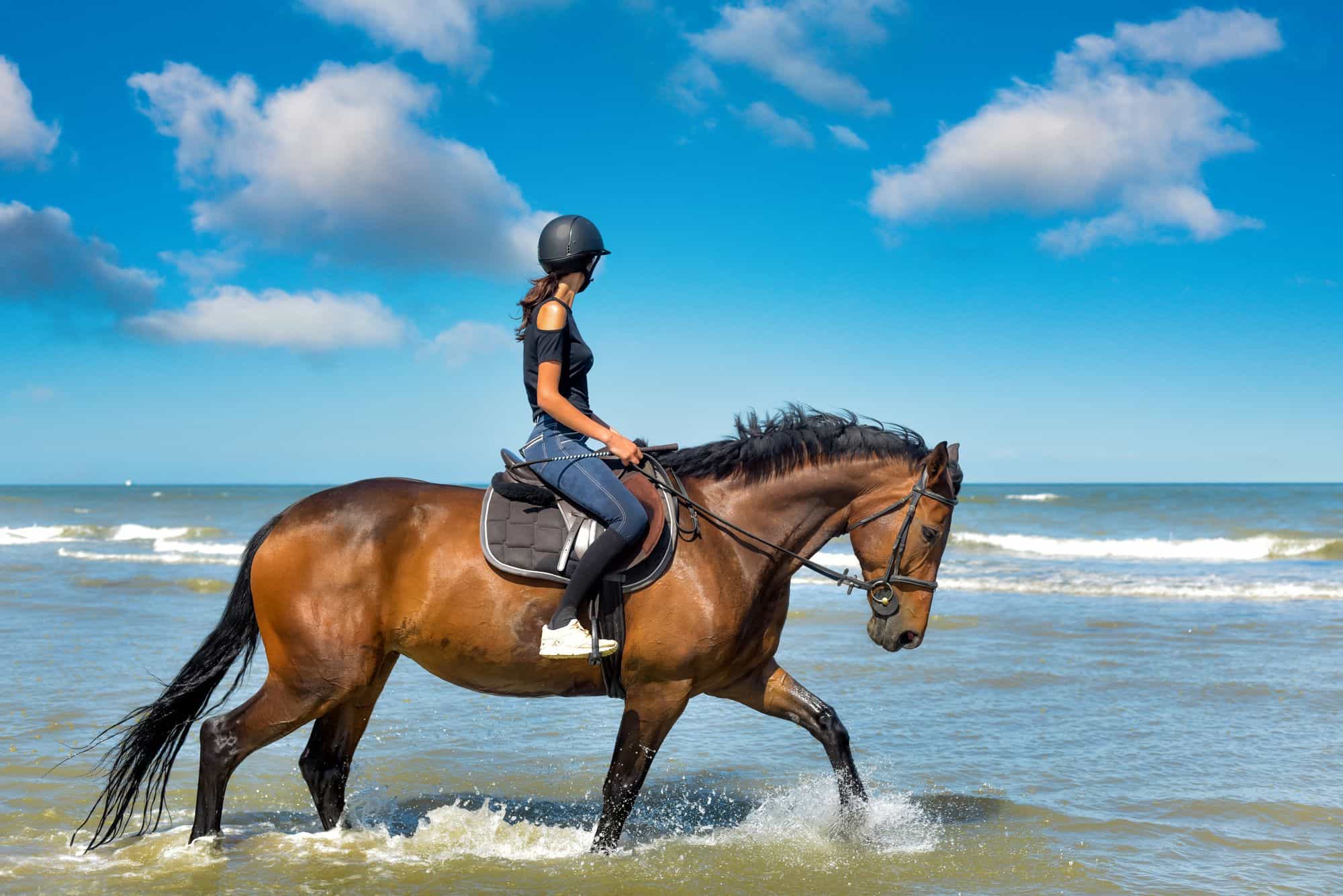 Horseback Riding Adventure – Nabq Bay, Sharm El Sheikh