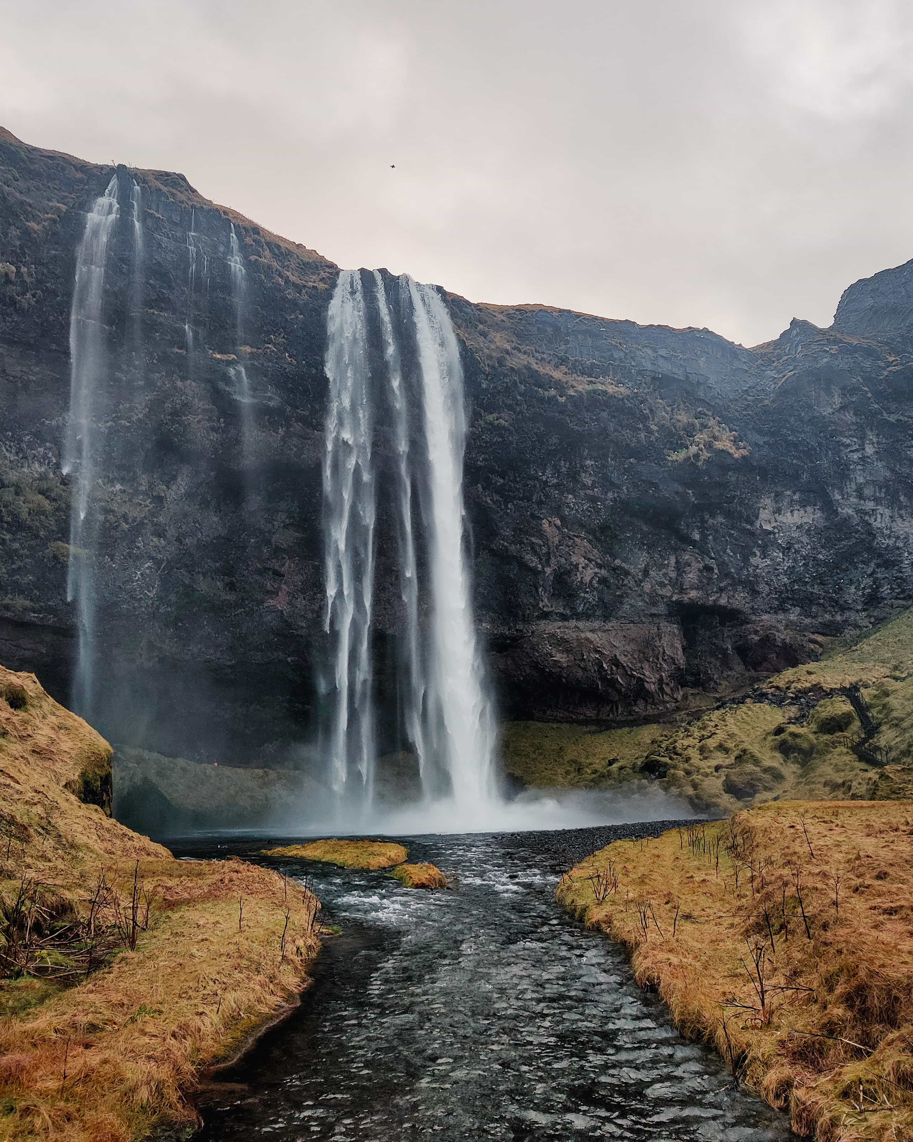 Costa Sur de Islandia en español - Minibús