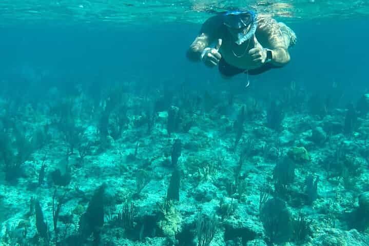 Rose Island Adventure: Turtle Swim and Snorkel