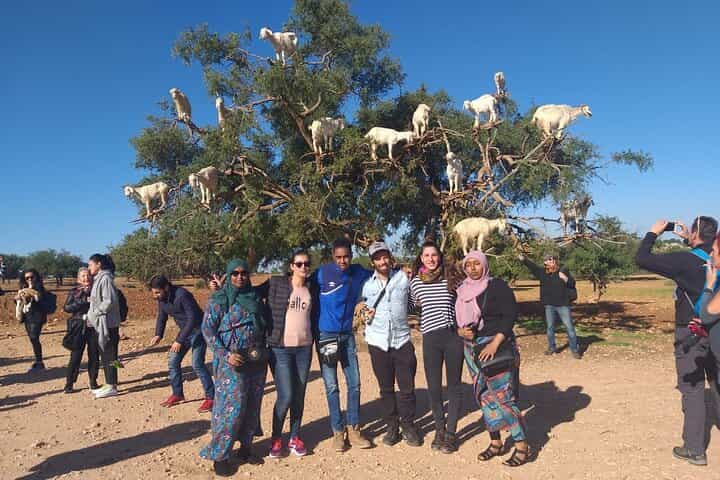 Morocco 11 Days Tour from Casablanca via Sahara Desert