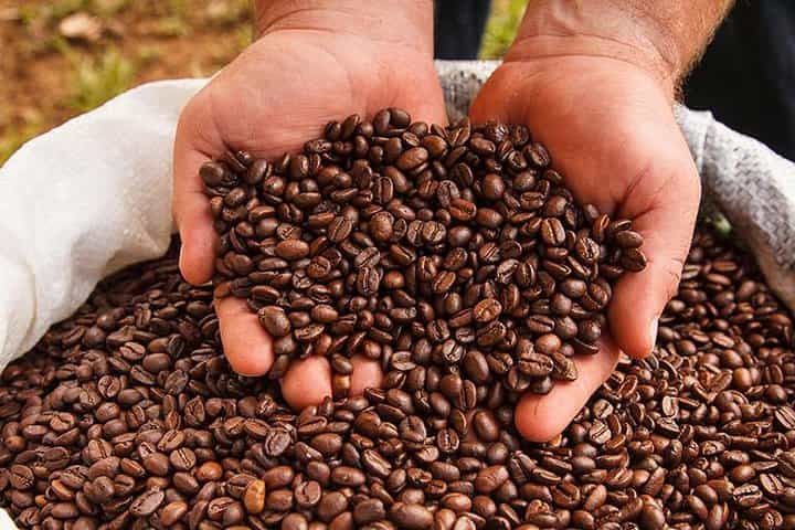 Coffee Tour, Grecia Town and Sarchi Shopping. Private Tour