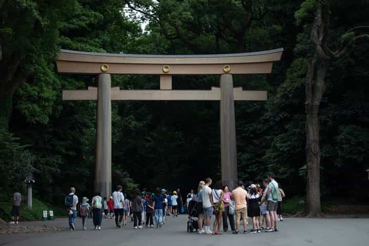 Harajuku Meiji Shrine Walking Tour in Tokyo
