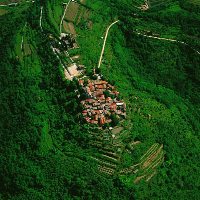 Private Symbols of Istria Tour - from Poreč and Rovinj