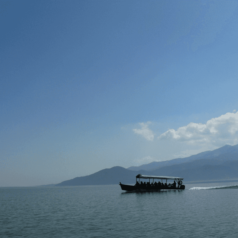 Private Day Trip to Kerkini Lake