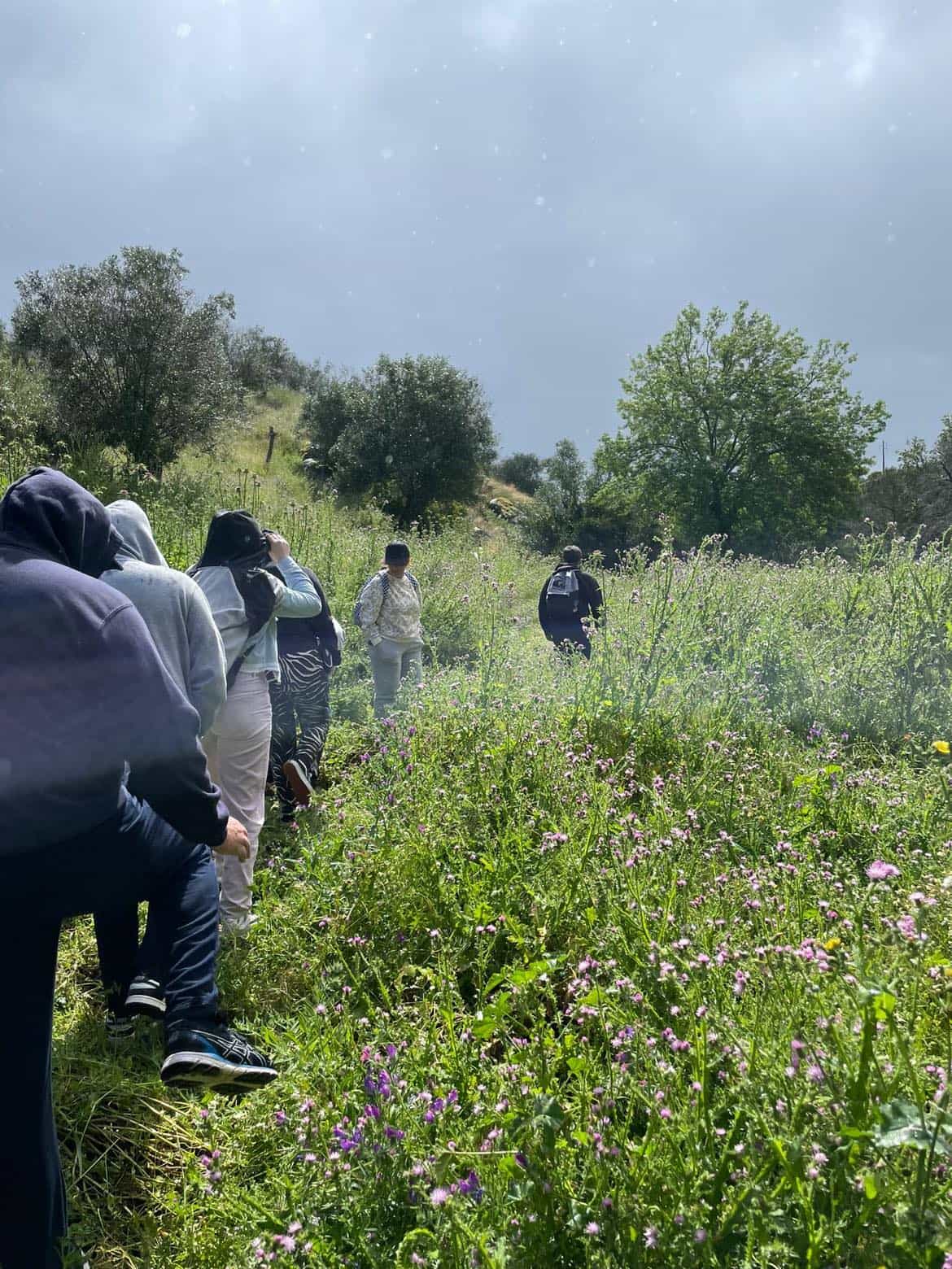  Montemor-o-Novo: Guided Hiking Tour with Lunch