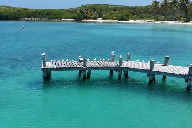 Isla Contoy and Isla Mujeres Tour with Snorkeling 